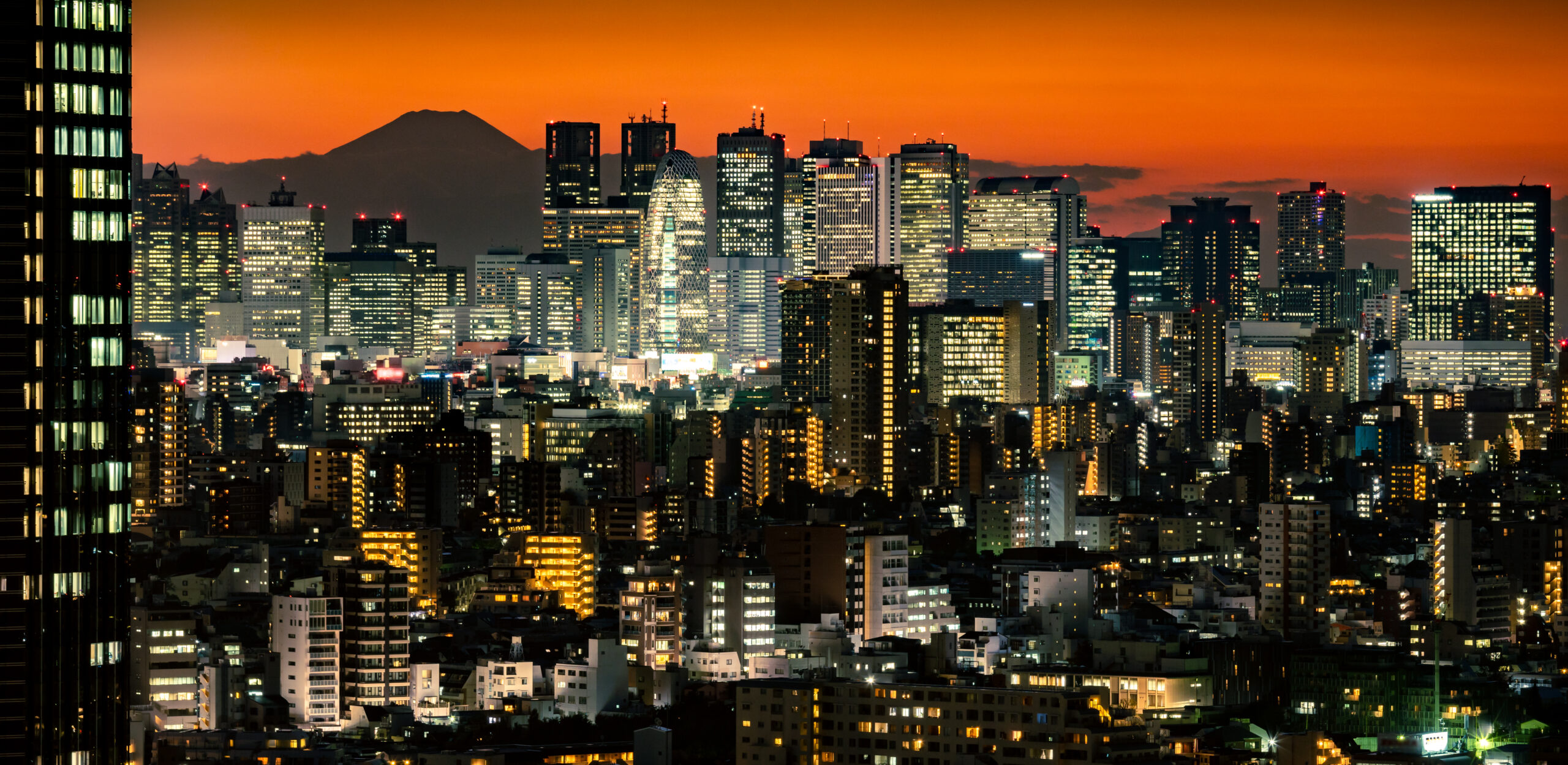 aerial view of tokyo city skyscraaper with fuji mo 2024 11 27 16 11 56 utc scaled.jpg